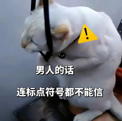 搞笑必备技能表情包3.03