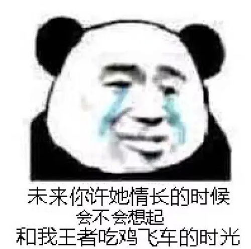 表情包男生手机的那些搞笑表情图,网友最后一个高能