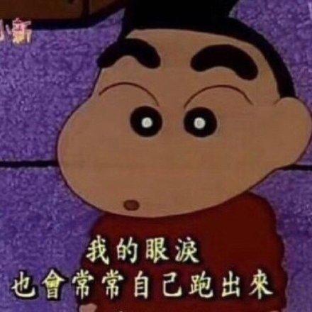 蜡笔小新表情包我是你的小可爱吗