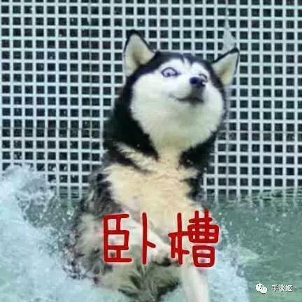 疯狂的人工智能不仅能赢星际与dota,还患上了世界上首例ai精神病