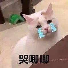 沙雕表情为什么要这样对我我还是个宝宝