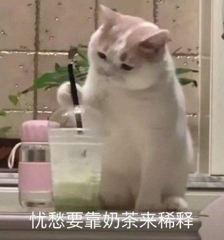 36条幽默诙谐的朋友圈文案处对象冲我来,找别人算什么本事