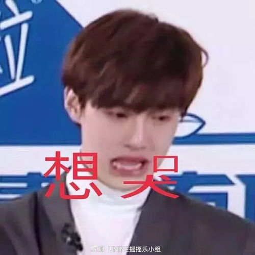 提名最可爱有趣的男明星表情包蔡...