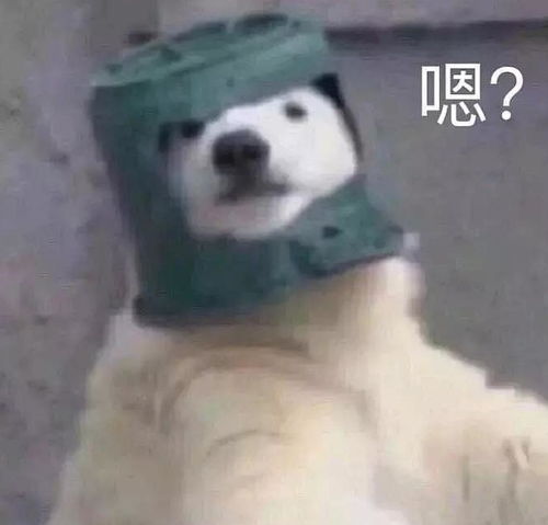 讨厌贷款吹逼