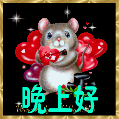 睡前晚安问候动画表情图片晚安问候语温馨一句话