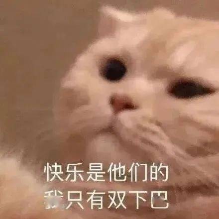 近期热图表情精选