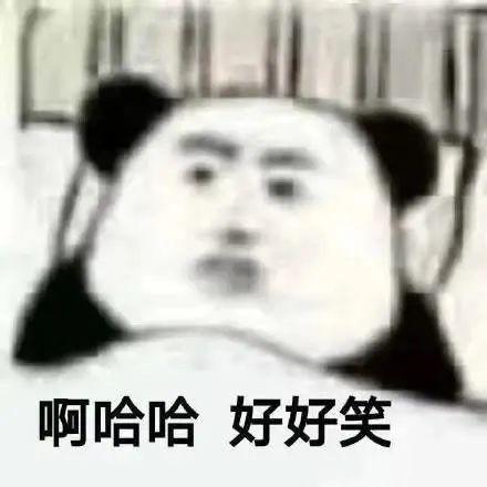 表情包还是沙雕熊猫头搞笑