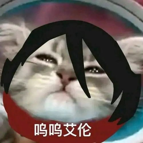 巨沙雕超级搞笑表情包搞笑