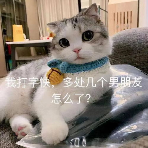 搞笑表情包更新只想做你一个人的舔狗