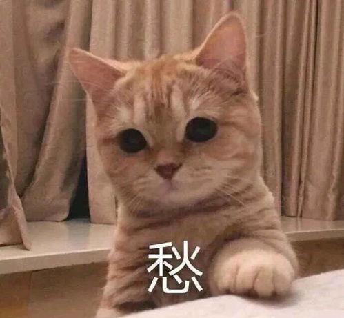 搞笑gif这傻子敢在上路扶老人,你跟着他要穷一辈子