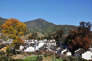 有什么地方适合70岁左右老人旅游什么时间出游合适