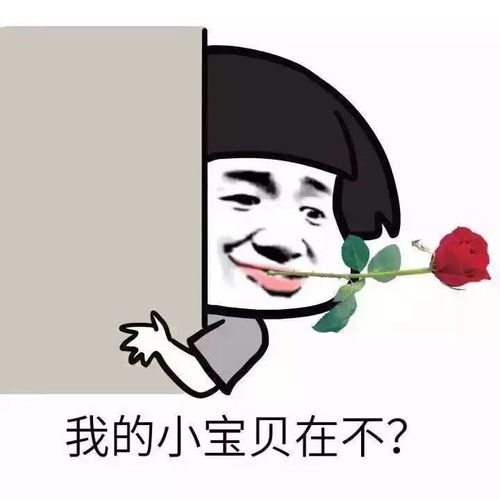 百事可乐音乐彩色跑