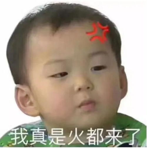 恶意砍伤牛的两个前脚被砍伤,后面一个脚被砍断脚根,谁干的