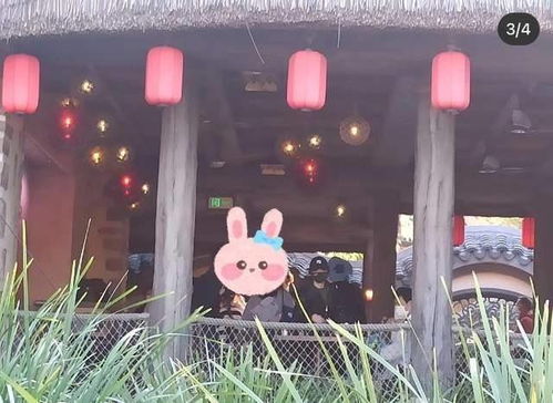 邓超孙俪带孩子去游乐园7岁女儿大长腿瞩目,鹿晗陈赫也在场