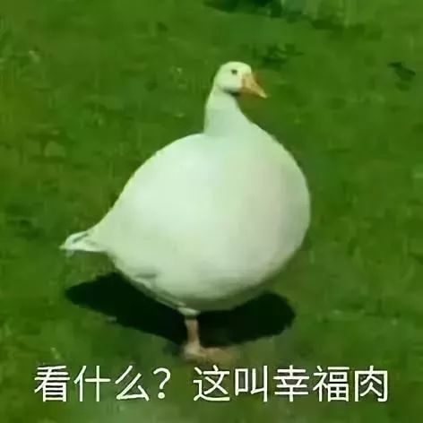 条条中枪2018年90后热词新语大集合,网友第一个就看哭了