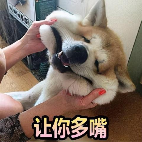 内有恶狗,闲人快进狗狗表情包