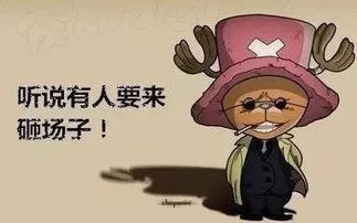 又来一波火影海贼表情包以后装备就靠它了