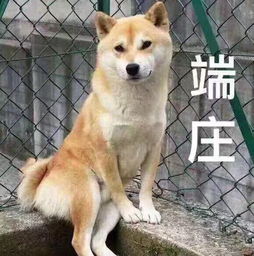 微信头像会影响第一印象吗