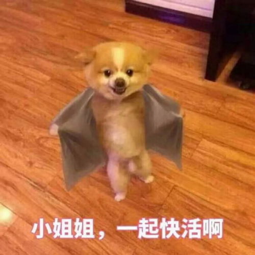 热门表情包图片回答我,我还是不是你的小宝贝了