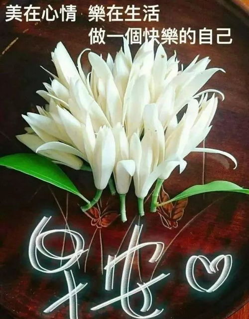 微信红包搞笑动图表情gif
