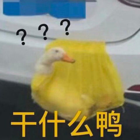 搞笑表情包我说话很直接,你的有毛病,我不会撤回