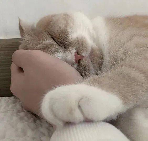 头像关于美女自拍的朋友圈文案