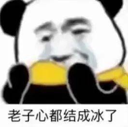 王俊凯,你把我坑苦了双11最劲爆买家秀曝光,我笑晕了哈哈哈哈哈哈哈