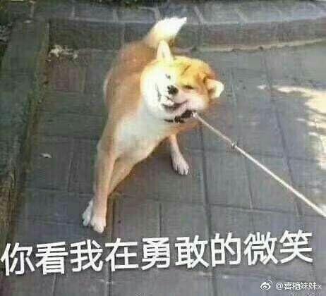 有没有什么能突然使人开心的段子,表情包什么的