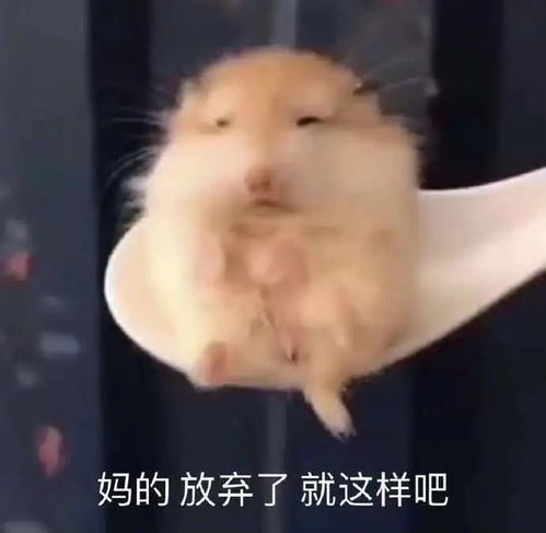 2022搞笑表情包拔牙