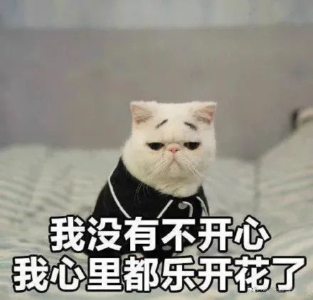 表情包全套熊猫头功夫表情包,拿走不谢