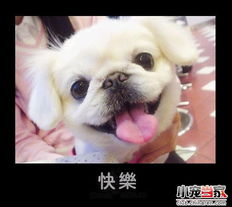 开心一笑108孩子们的幽默