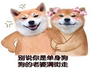 表情包窗含西岭千秋雪,你还是只单身狗