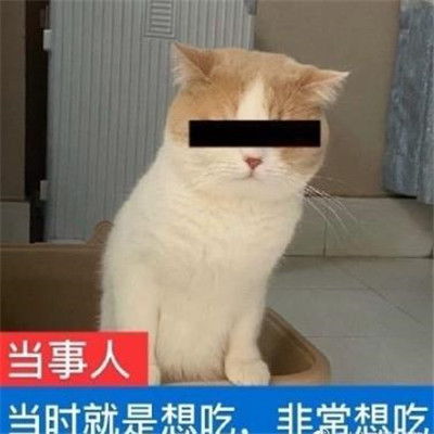 减肥表情包合集最新减肥表情包经典搞笑