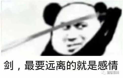 上海名媛群聊天记录曝光奢华的背后,原来是高级版的拼多多