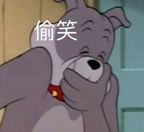 日常聊天表情包