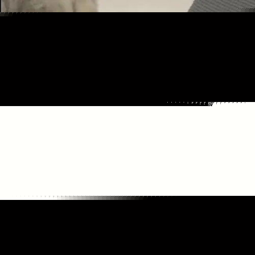 王者荣耀猫狗表情包