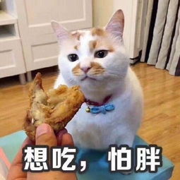 搞笑表情一组楼楼表情包
