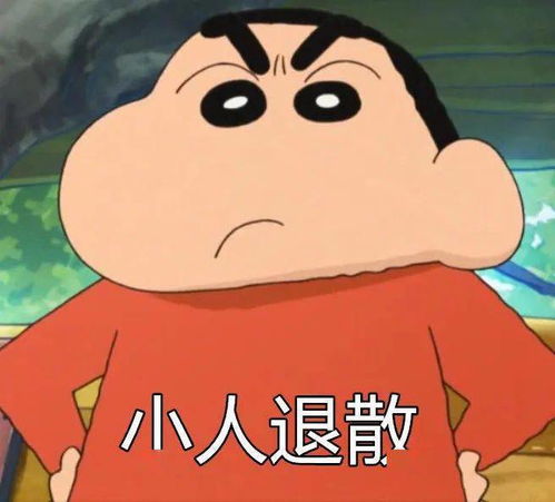 蜡笔小新表情包新年祝福请接收