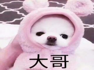奔跑吧兄弟之无尽系统