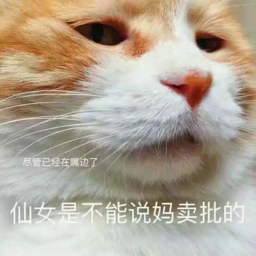 沙雕表情包不想面对生活的我