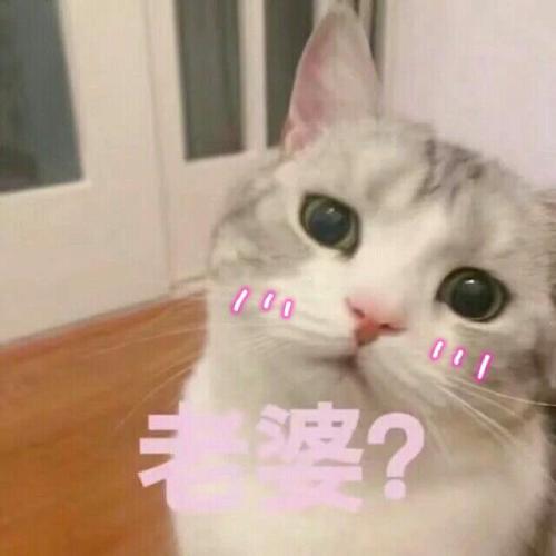 幽默搞笑段子集哈哈哈,没文化不好意思蹭网,老板你是认真的公公
