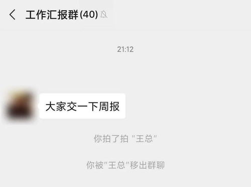 微信又有新功能你拍我,我拍你,我拍我自己...