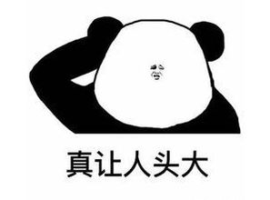 这是一条可爱搞怪的表情包合集