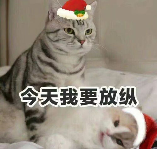 可爱的圣诞节表情包