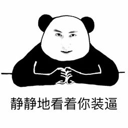 熊猫头表情包我就静静地看着你装逼