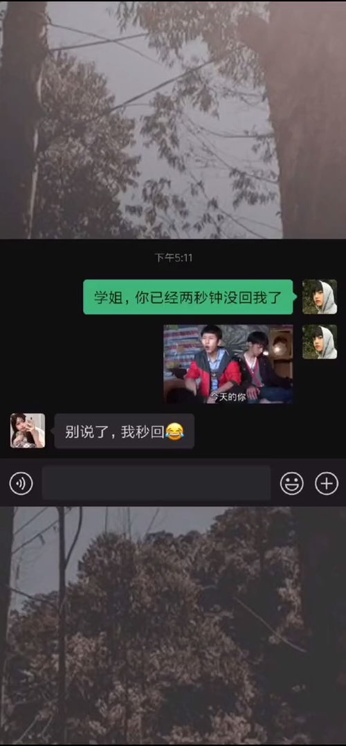 舔狗还是香每日迷惑行为沙雕操作表情包小可爱已上线