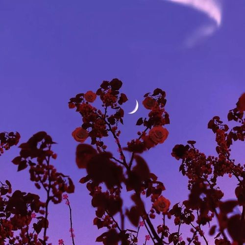 第四十三个故事七年之痒,我们只差了一年,剩下的都是执念