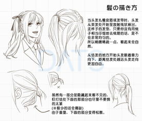 动漫绘画学习动漫人物发型的各种画法讲解与操作