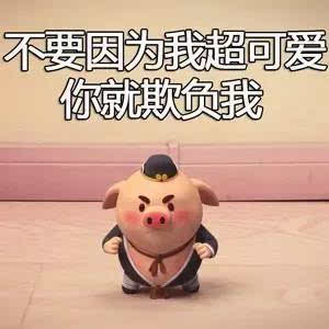 你是不是拿我表情包去撩别人了
