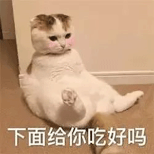 沙雕表情包你有什么可豪横的